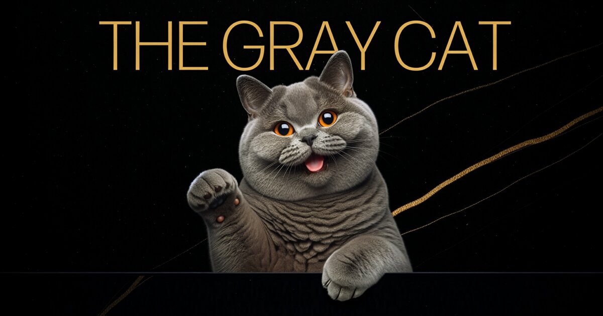 The Gray Cat | Where AI Meets Code